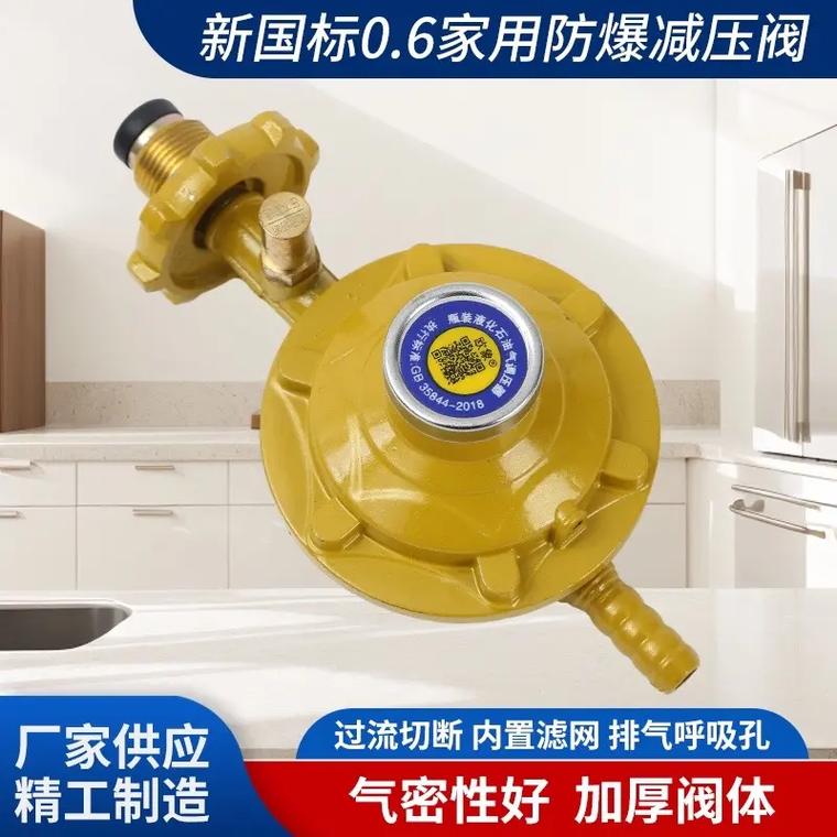 #煤氣安全閥 0.6液化氣減壓閥